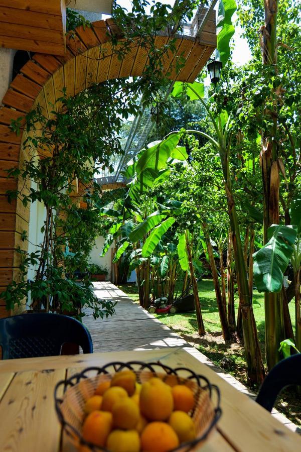 Villa Green Garden Sarandë Exterior foto