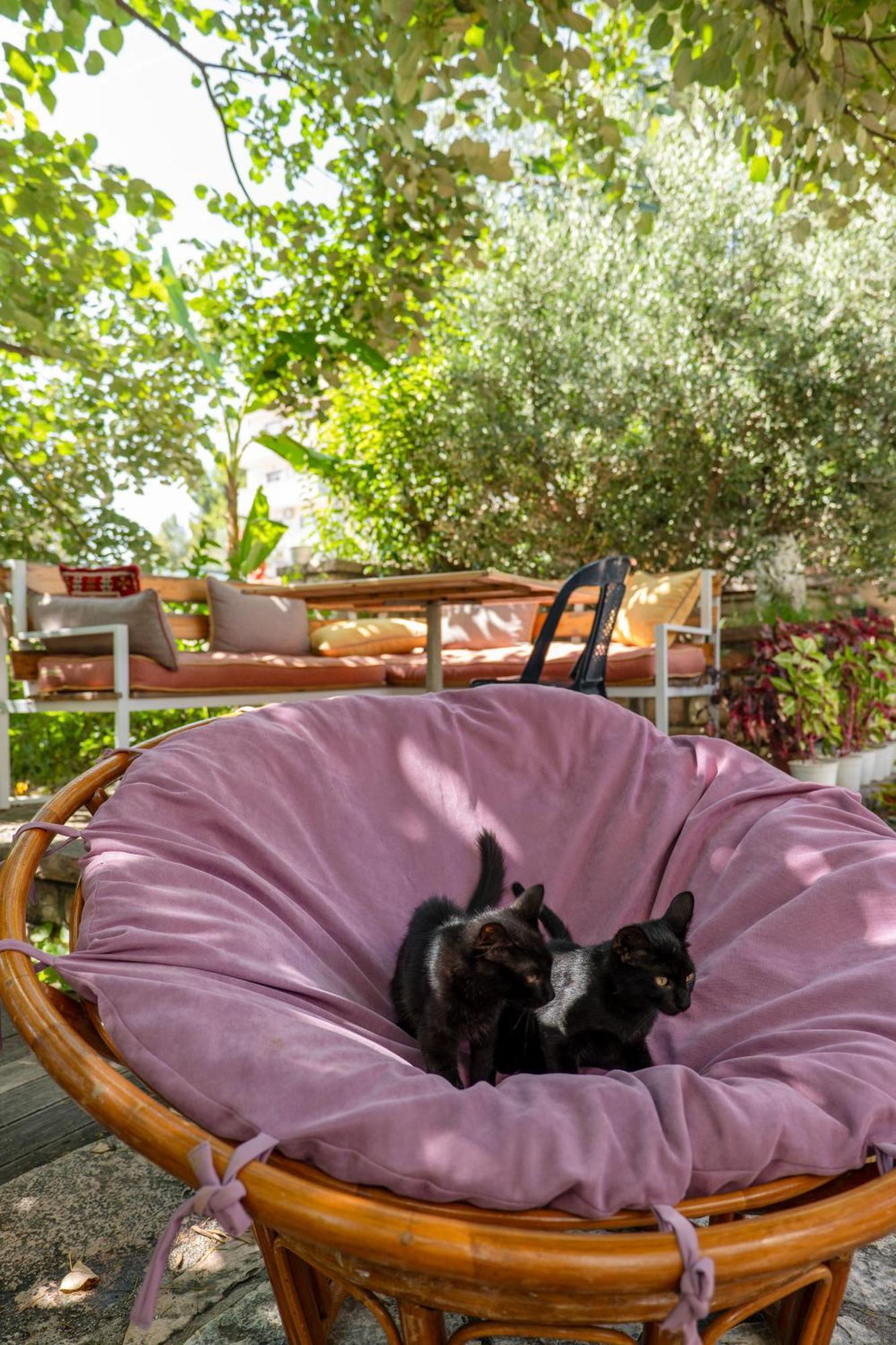 Villa Green Garden Sarandë Exterior foto