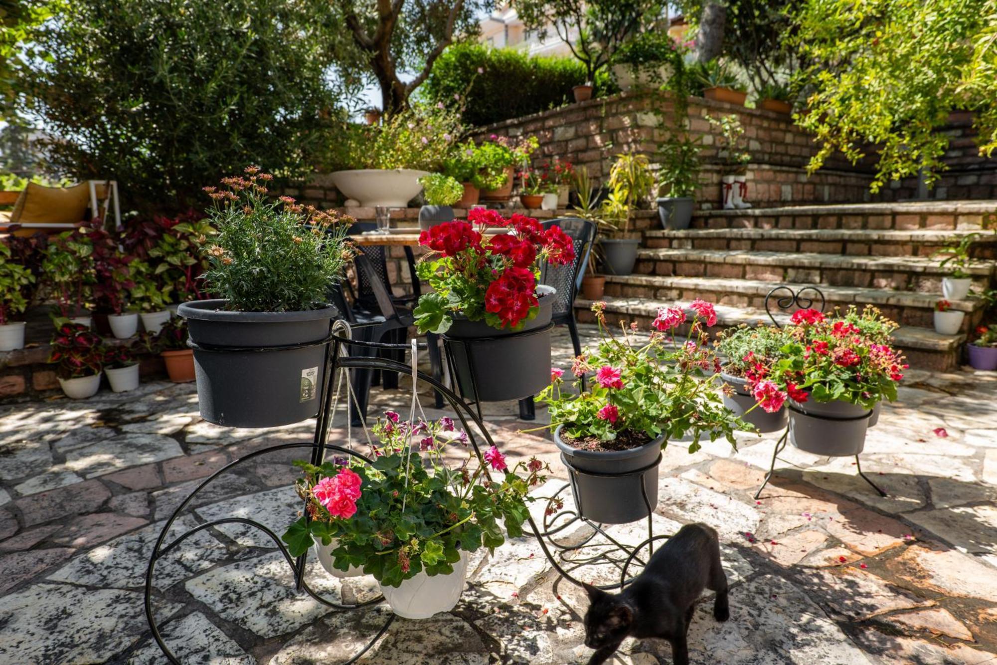 Villa Green Garden Sarandë Exterior foto